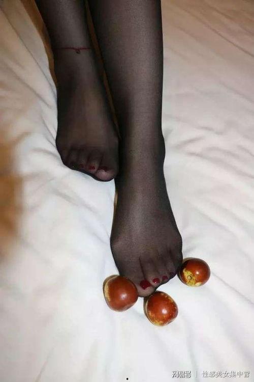 国产美足丝脚交在线观看,国产美足丝脚交在线观看，带你领略极致足部风情