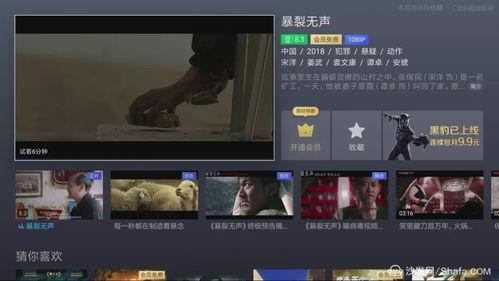 国产 片视频在线,探寻本土影视的魅力与风采