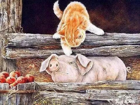 猪猫动画片国产在线观看,国产动画片在线观看盛宴