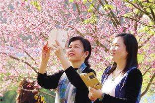 最新国产寻花在线观看,探寻我国花卉产业的魅力与风采