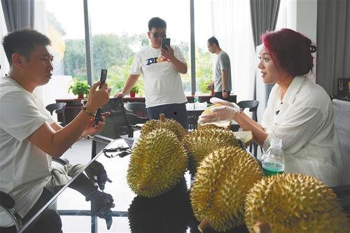 国产榴莲历程视频在线,从引进到国产化,见证热带果王的本土传奇